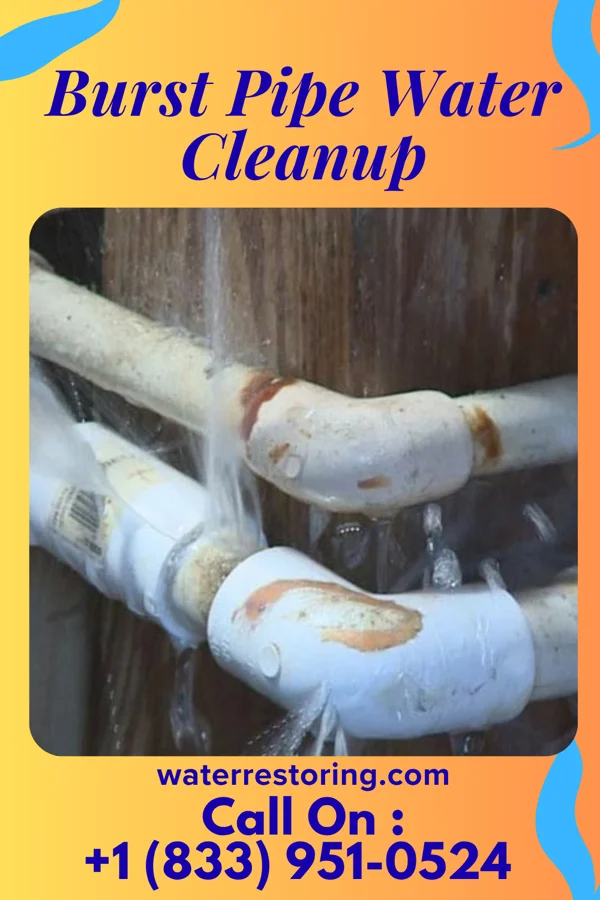 Burst Pipe Water Cleanup in Great Bend, ND