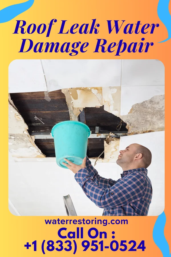 Roof Leak Water Damage Repair in Great Bend, ND