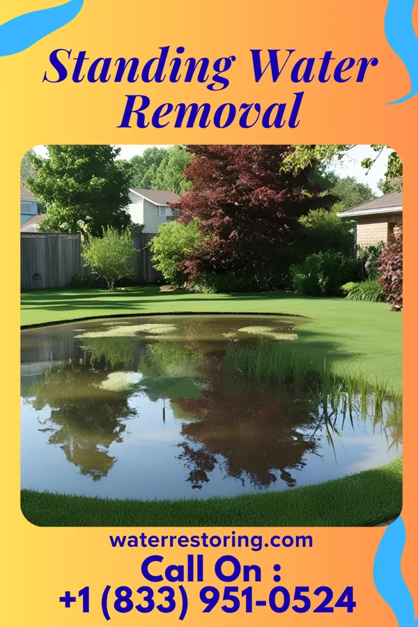 Standing Water Removal in Great Bend, ND